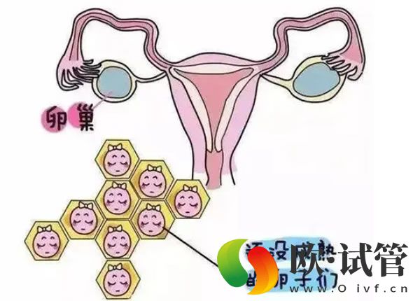 精子成活率只有15%能不能做试管婴儿?