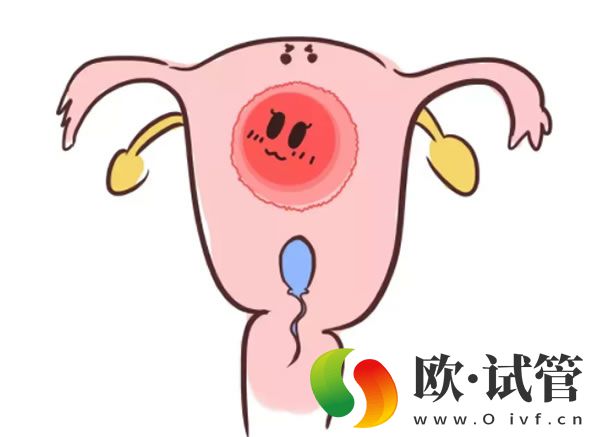 江西供卵机构排名是怎样的？江西省妇幼保健院第三代试管要多少费用？