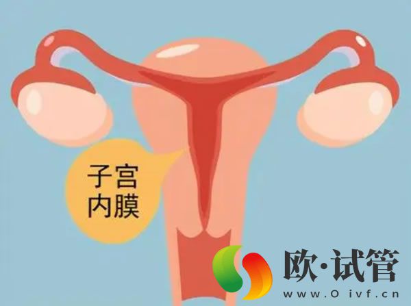 胚胎移植成功后肚子痛是怎么回事，想解决你得先查明原因才行